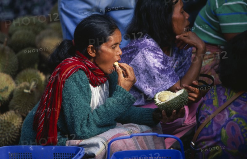 INDONESIA, Sumatra, Berastagni, Karo Batak woman eating durian fruit at market in town in the Karo Highlands.