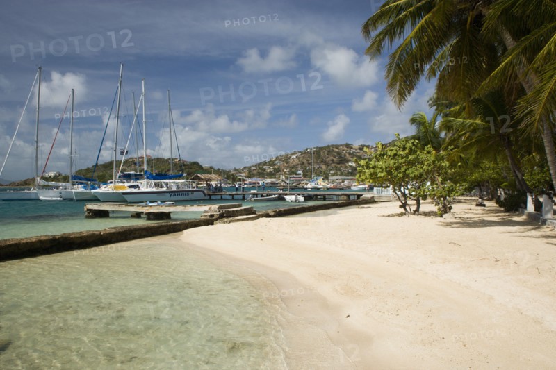 WEST INDIES, St Vincent & The Grenadines, Union Island, Clifton Harbour moorings and beach outside the Anchorage Yacht Club