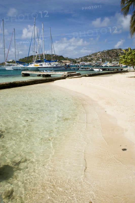 WEST INDIES, St Vincent & The Grenadines, Union Island, Clifton Harbour moorings and beach outside the Anchorage Yacht Club
