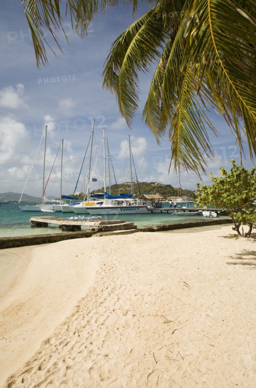 WEST INDIES, St Vincent & The Grenadines, Union Island, Clifton Harbour moorings and beach outside the Anchorage Yacht Club