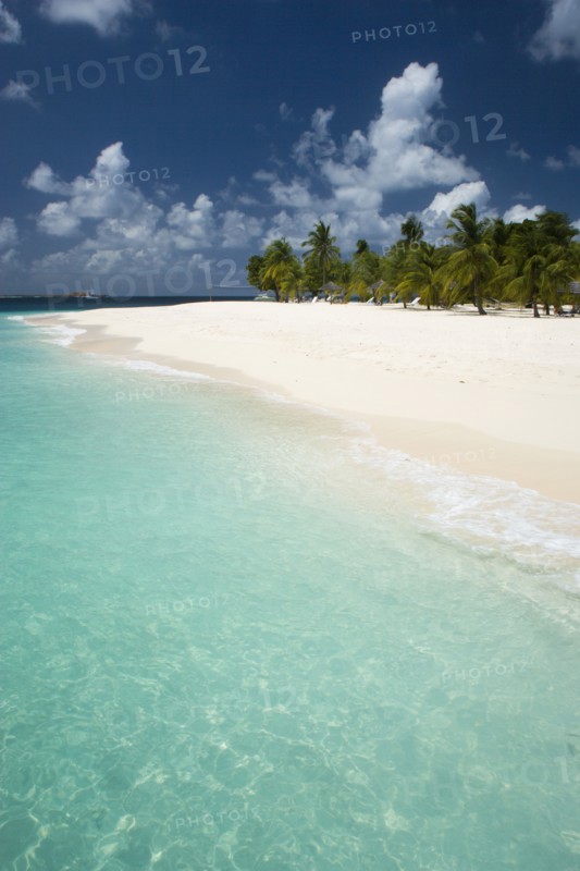 WEST INDIES, St Vincent & The Grenadines, Palm Island, The beach at Palm Island Resort