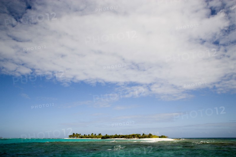 WEST INDIES, St Vincent & The Grenadines, Tobago Cays, Petit Tobac island