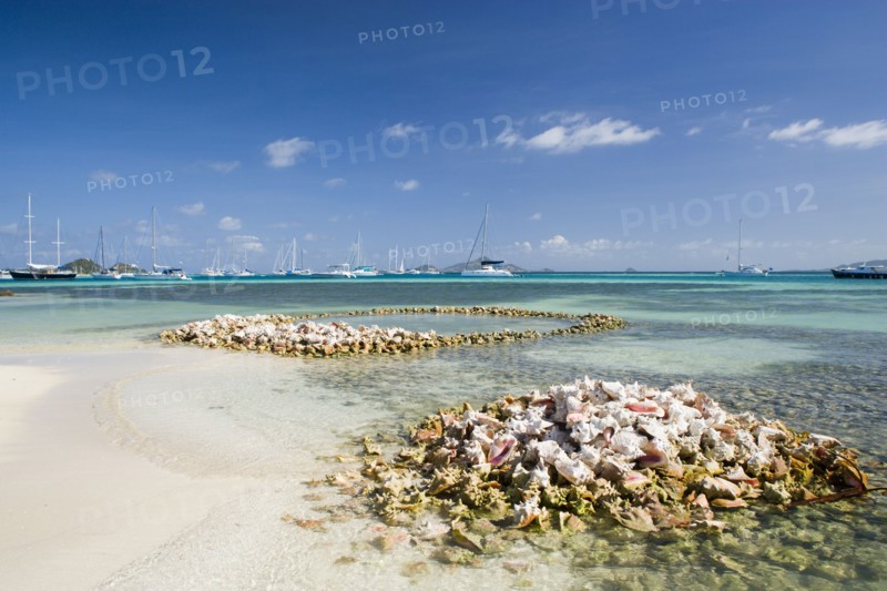 WEST INDIES, St Vincent & The Grenadines, Union Island, Conch shell structures on the beach at Clifton Harbour with yachts moored behind