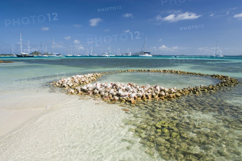 WEST INDIES, St Vincent & The Grenadines, Union Island, Conch shell structures on the beach at Clifton Harbour with yachts moored behind
