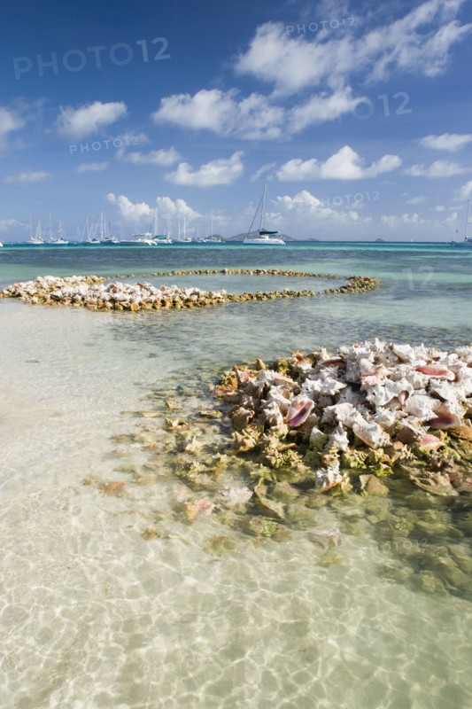 WEST INDIES, St Vincent & The Grenadines, Union Island, Conch shell structures on the beach at Clifton Harbour with yachts moored behind