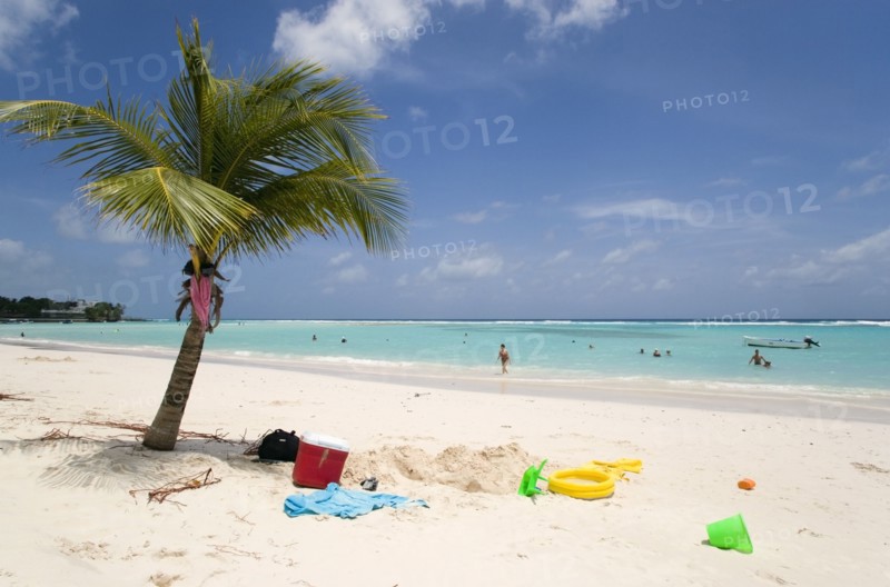WEST INDIES, Barbados, Christ Church, Childrens beach toys under coconut palm tree on Worthing Beach