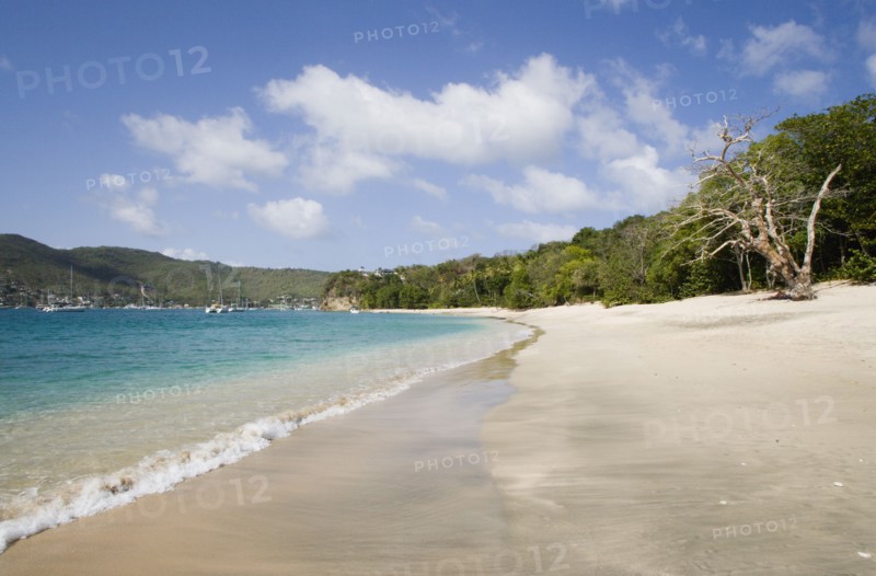 WEST INDIES, St Vincent & The Grenadines, Bequia, Princess Margaret beach