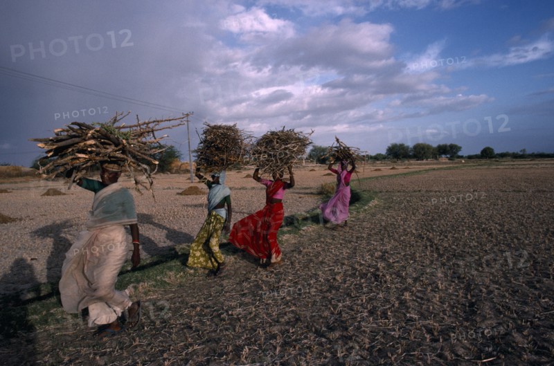 20067466 INDIA Andhra Pradesh Work Women carrying bundles of firewood on their heads.