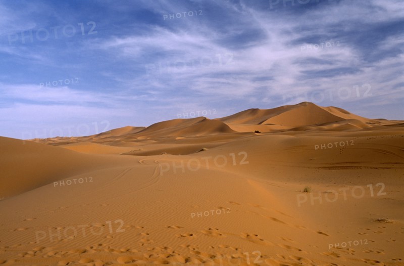 MOROCCO, Sahara, Merzouga, Desert landscape.