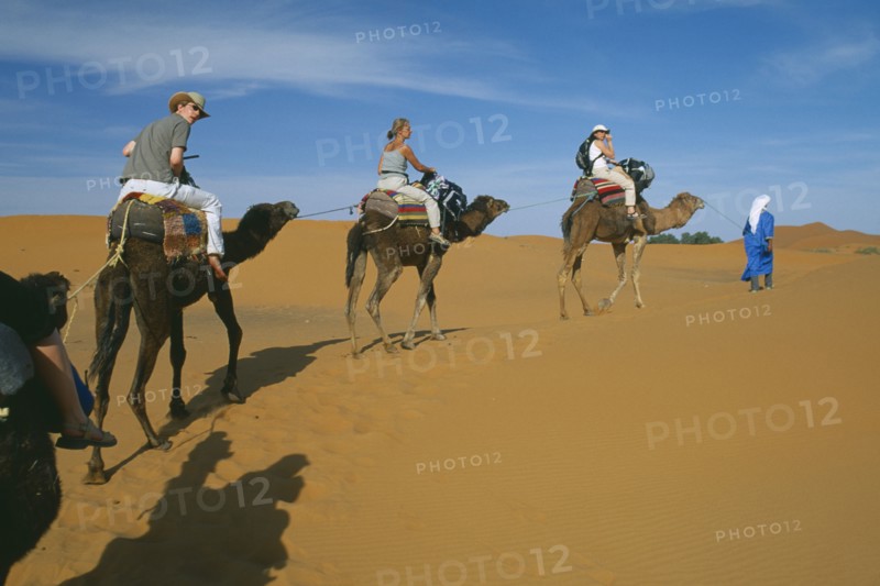 MOROCCO, Sahara, Merzouga, Guide leading tourist camel train through desert landscape.