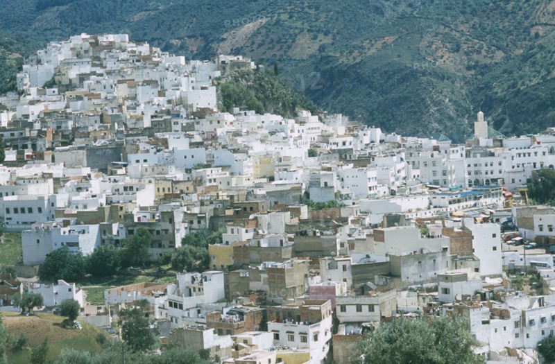 MOROCCO, Moulay Idriss, White painted houses across rocky hillside.