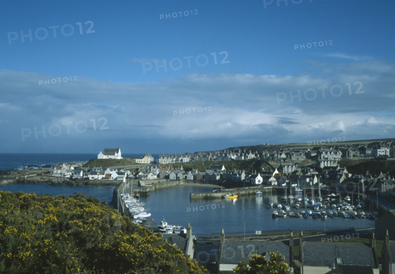 SCOTLAND, Moray, Findochty, Fishing village on north coast with pleasure boats moored within harbour walls and gorse in flower in the foreground.