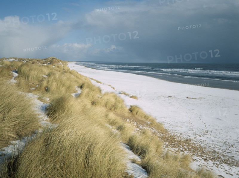 SCOTLAND, Aberdeen, Balmedie Beach, View north east along snow covered beach with tussocks of grass on the dunes in the foreground.