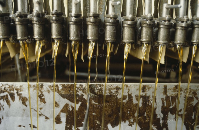 NIGERIA, Industry, Palm oil released from pipes in processing factory.