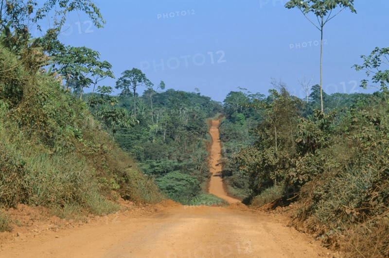 BRAZIL, Para, Trans Amazonian highway between Altanira and Itaituba looking west.