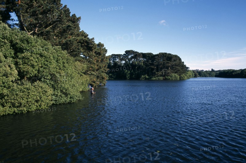 UNITED KINGDOM, Channel Islands, Guernsey, St Saviours Reservoir with fishermen wading in water