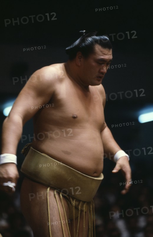 JAPAN, Honshu, Ishikawa, Wajima.  Sumo grand champion.