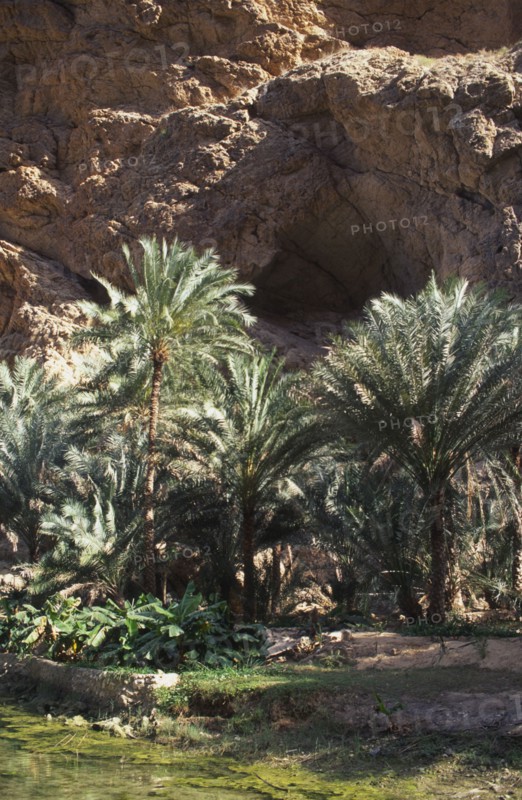 OMAN, Tiwi, "Wadi, an area of natural water in the desert, with cave in the background."