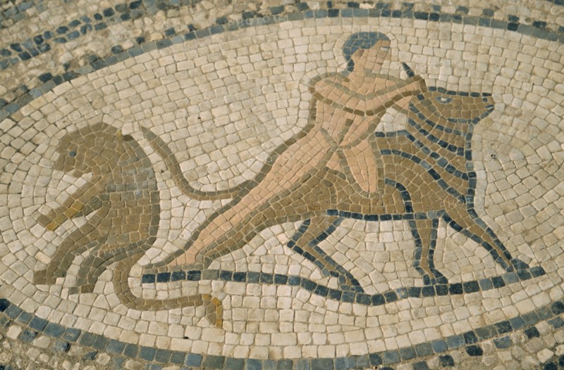 MOROCCO, Volubilis, Detail of mosaic depicting man wrestling bull.