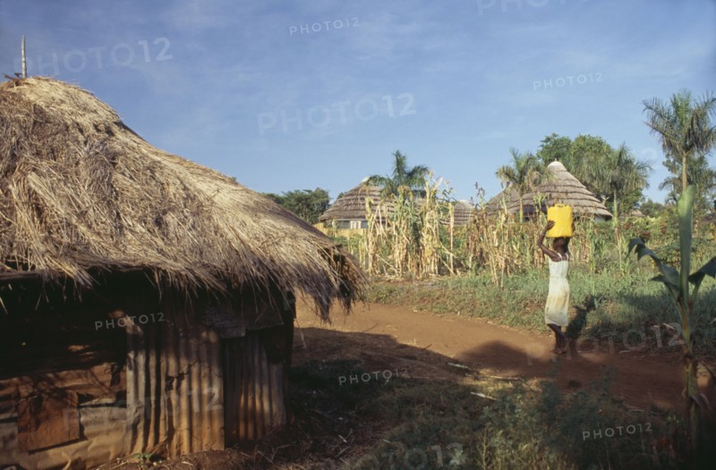 UGANDA, Jinja, "Houses in countryside, woman carrying container on her head."