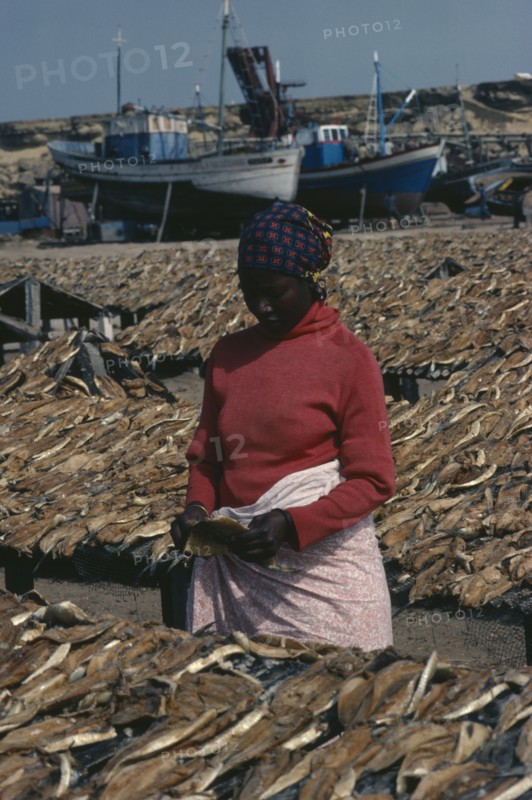 ANGOLA, Industry, Fish, Woman laying out fish to dry with line of moored fishing boats behind.