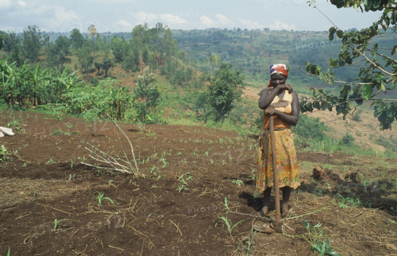 BURUNDI, Kirundo Province, Tribal People, Burundian returnee from Rwanda cultivating land using fertilizer supplied by the EEC.
