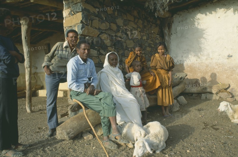 ERITREA, Seraye Province, Farming family outside home with sheep.