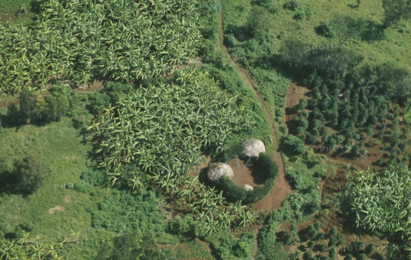 RWANDA, Farmland, Aerial view over small holdings and farmsteads.