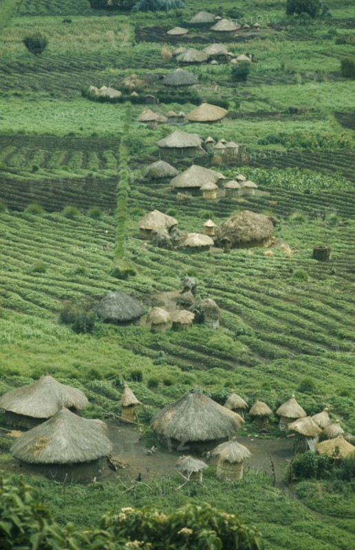 RWANDA, Farmland, Small thatched farmsteads and cultivated land.