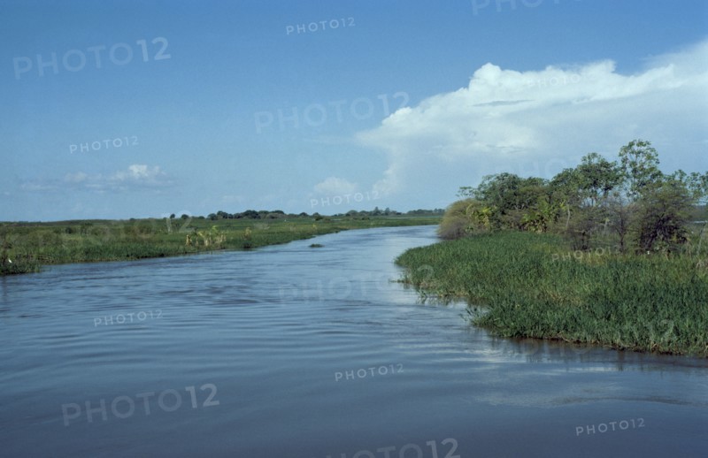 BRAZIL, Amazon, Para, Igarape Jari near Carariaca.  Amazon floodplain at high water.