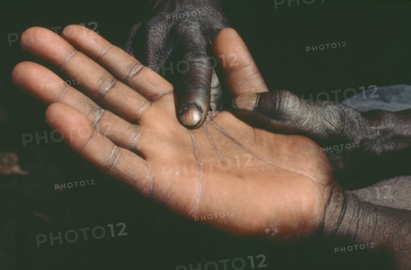 MALI, People, Dogon palm reader pointing to lines on palm of client.