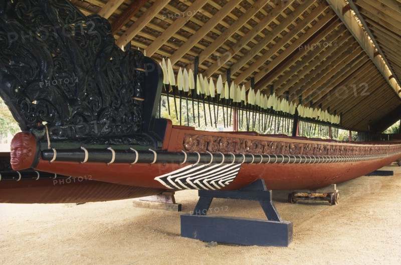 NEW ZEALAND, North Island, Maori war canoe made from Kauri tree.