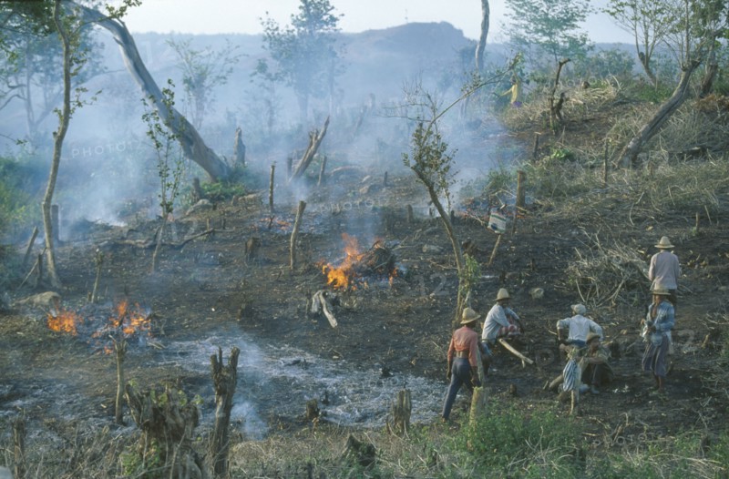 INDONESIA, Lombok, Environment, Aftermath of traditional slash and burn method of forest clearance for agriculture on hill top near Kuta on the south coast.