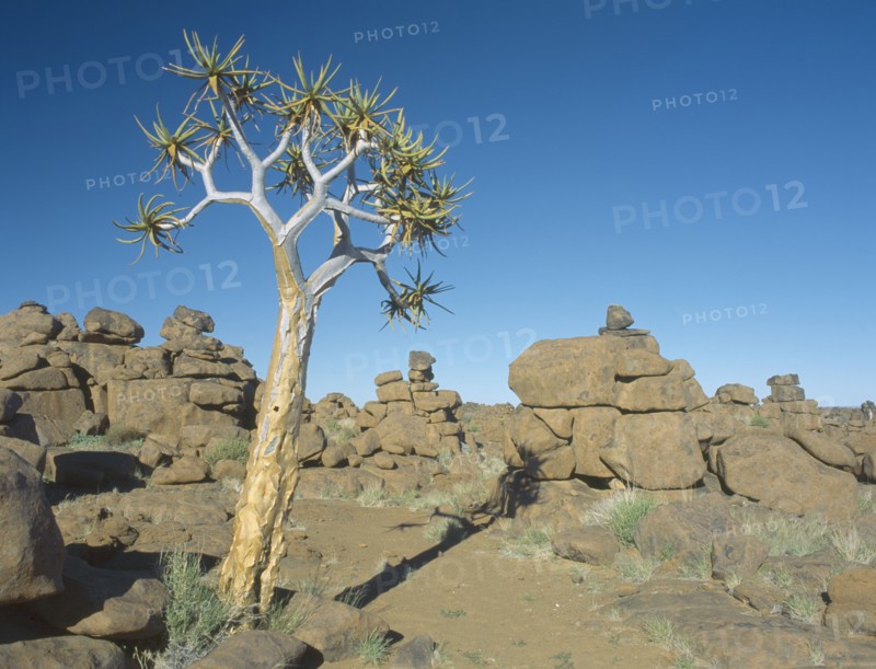 NAMIBIA, Giants Playground,  Rock formations and Quiver trees