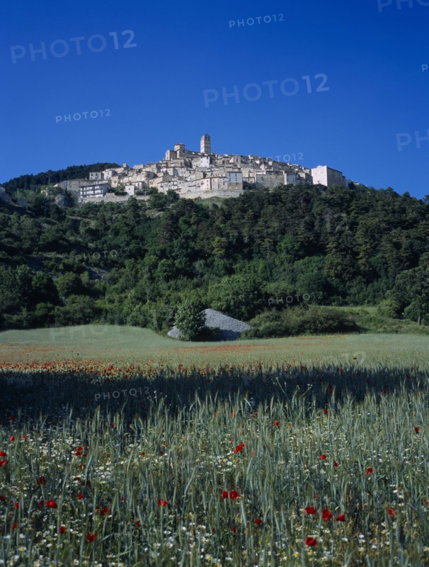 ITALY, Abruzzo, Castel del Monte, "The village on side of a hill, surounded by trees,  viewed over field of grass and red flowers"