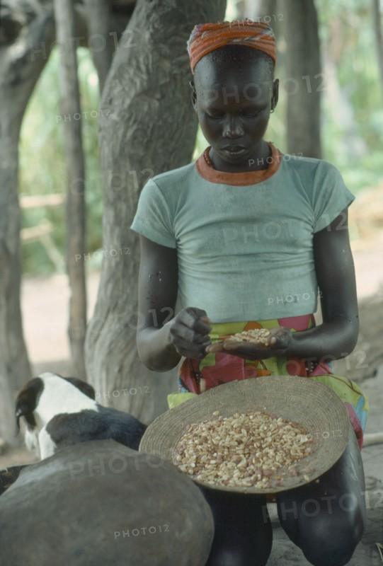 SUDAN, People, Dinka tribeswoman shelling groundnuts.
