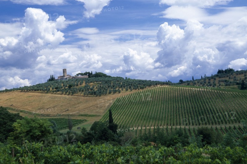 ITALY, Tuscany, General, Landscape with vineyards and dramatic cloudscape above towards San Lucia near San Gimignano.