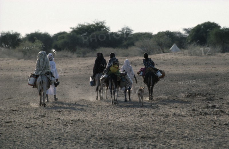 SUDAN, Darfur, Baggara Arabs from the Beni Halba tribe on foot and donkey in semi desert area.
