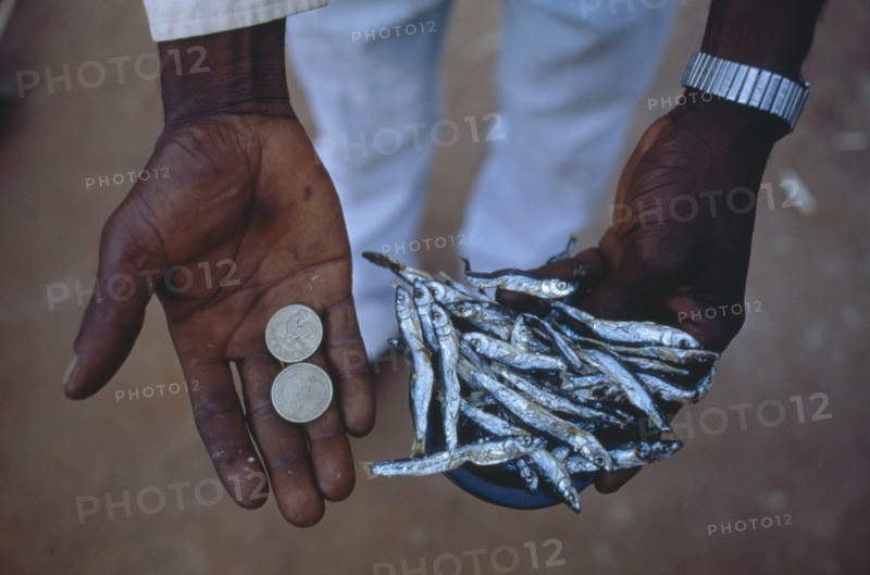 MALAWI, Mulanje, Peter Makfero travels 300km every fortnight to buy fish from Lake Malawi to resell.  His village credit union lent him the money to start this business.
