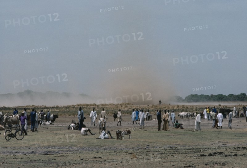 SUDAN, Weather, Dust storm approaching Dinka cattle market.