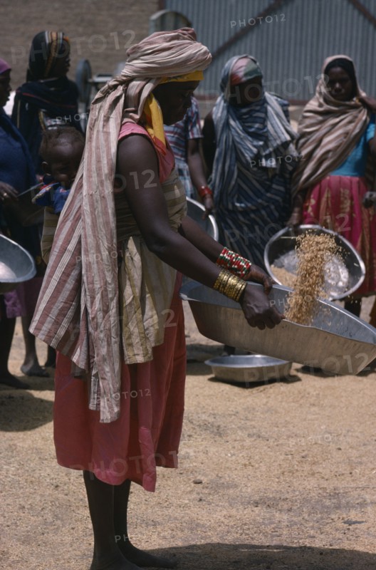 SUDAN, Work, Nigerian woman with child in sling on her back winnowing grain.