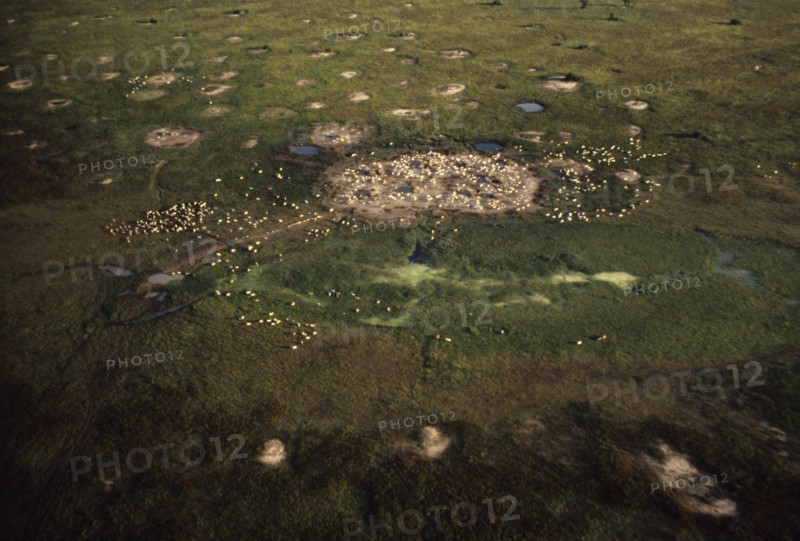 SUDAN, Traditional Housing, Aerial view over Dinka cattle camp during the wet season.
