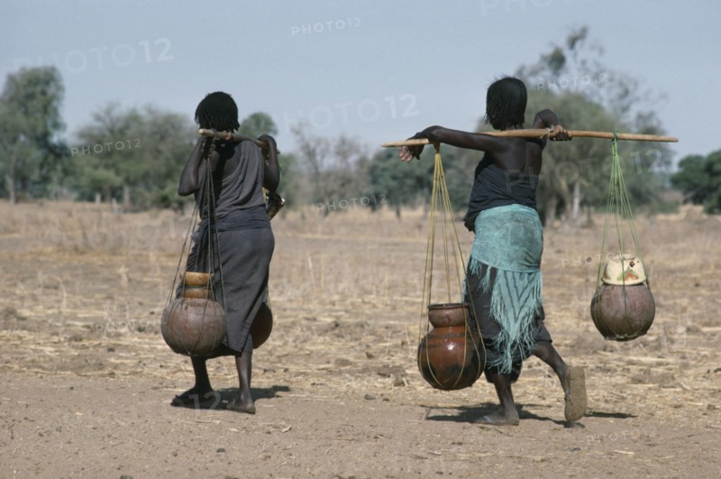 SUDAN, Habila Settlement, Chadian refugee women carrying water vessels hanging from pole across their shoulders from well in settlement near El Geneina.