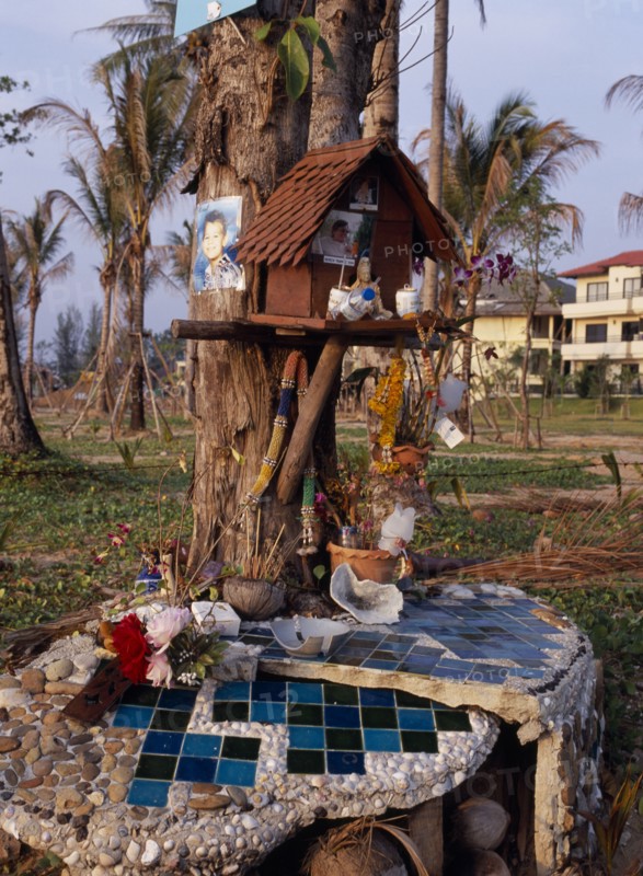 THAILAND, Andaman Sea, Takua Pa district, "Khao Lak, A memorial for those lost in the Tsunami, photographs, flowers, drinks and others objects placed around a tree."