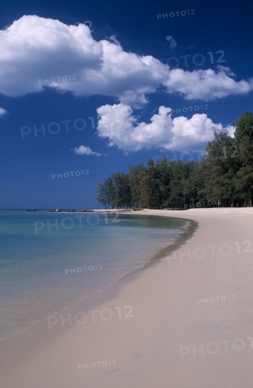 THAILAND, North Phuket, Naiyang Beach, View along the empty sandy beach with tall trees.