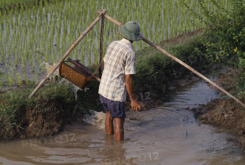 VIETNAM, Farming, Man using water irrigation in paddy