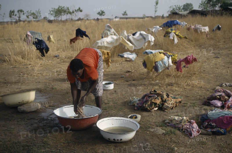 GHANA, Laundry, Laundress washing clothes in bowls with garments spread out over bushes to dry behind.