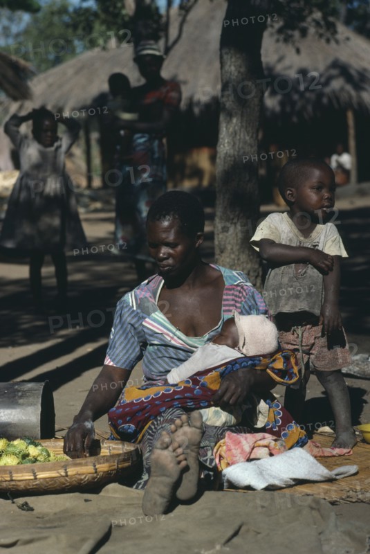 ZAMBIA, Ukwimi Settlement, Mozambique refugee woman and children with basket of fruit.