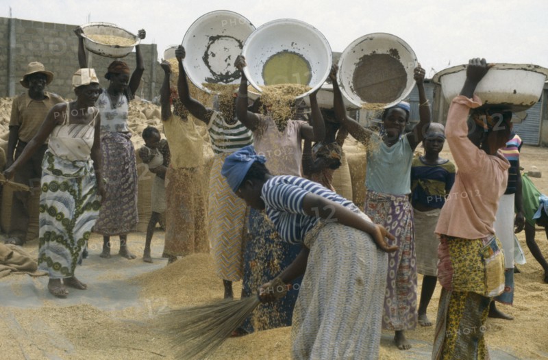 GHANA, Work, Women winnowing rice.