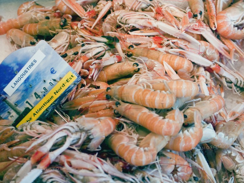 FRANCE, Deux Sevres Region, Poitiers, Langoustines on sale at the market in the town of Rouille.